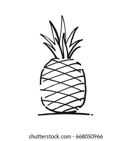 Pineapple drawn by hand, sketch, vector image