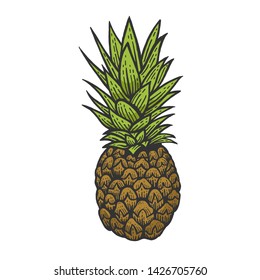 Pineapple exotic fruit color sketch engraving vector illustration. Scratch board style imitation. Black and white hand drawn image.