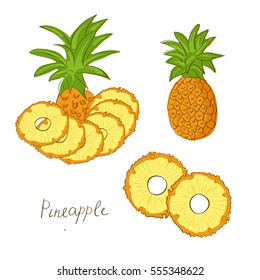 A pineapple. Exotic fruit. Sketch. Doodle. Set.