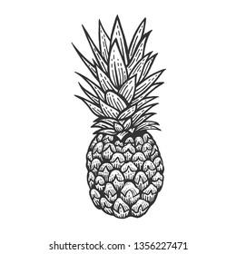 Pineapple exotic fruit sketch engraving vector illustration. Scratch board style imitation. Black and white hand drawn image.
