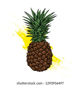 Pineapple, exotic fruit. Vector illustration for postcard or poster, print for clothes.