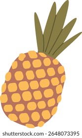 Ananas exotische Frucht Vektorgrafik