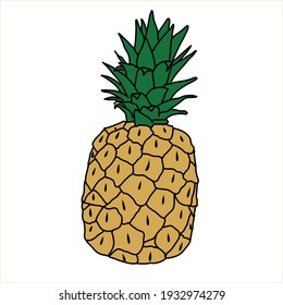 pineapple, exotic fruits, black and white drawing, pencil, line, doodle, sketch fruits. Asia, Thailand, Indonesia, India.