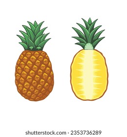 Pineapple exotic tropical fruit as name Ananas comosus. Whole pineapple with leaves and pineapple slices and a half. Hand drawn Vector illustration.