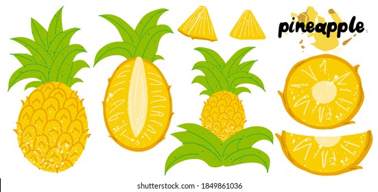 Pineapple. Exotic tropical fruit with stamp texture, fresh whole juicy yellow ananas with green leaves sliced, half and pieces collection, vector cartoon isolated on white background set