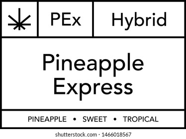 Pineapple Express Cannabis Modern Vector Label Design