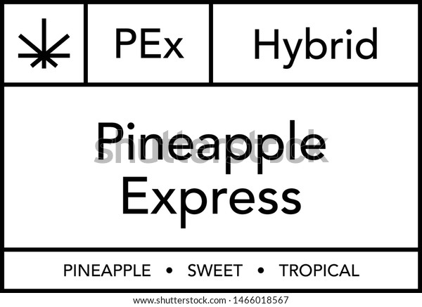 Pineapple Express Cannabis Modern Vector Label Stock Vector Royalty Free 1466018567