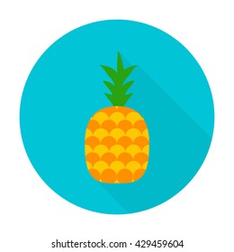 Pineapple flat circle icon. Vector illustration of fresh fruit food.