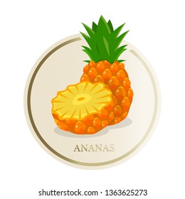 Pineapple flat circle sticker. Sliced tropical exotic fruit vector illustration. Eco, organic homemade juice, jam patch. Fresh healthy vitamins rich food. Summer cocktails ingredient