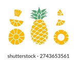 pineapple flat color set with sliced tropical fruit elements