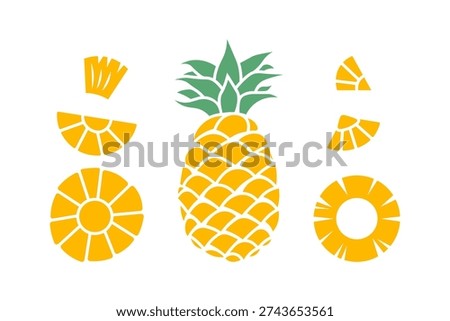 pineapple flat color set with sliced tropical fruit elements