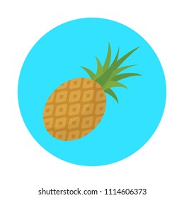 Pineapple flat icon isolated on blue background. Simple Pineapple symbol in flat style, fruits vector illustration for web and mobile design.