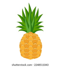 pineapple food flat icon vector illustration isolated on white background