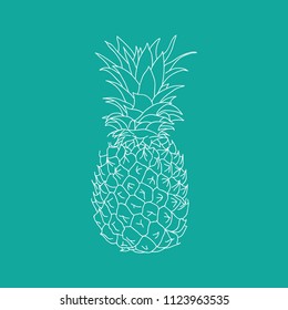 pineapple, freehand drawing, turquoise background