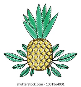 pineapple fresh fruit with leafs frame
