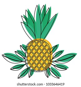 pineapple fresh fruit with leafs frame