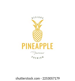 pineapple fresh fruit line hipster colored geometric logo design vector icon illustration template