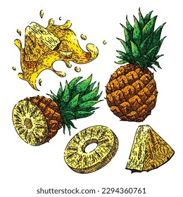 pineapple fresh set hand drawn. fruit leaf, ripe ananas, cut sweet, vector piece, green tropical pineapple fresh vector sketch. isolated color illustration