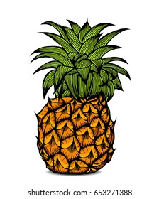 Pineapple fruit in color. Vector illustration. Isolated on white