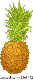 Pineapple Fruit Colored Detailed Illustration. Organic natural nutritional healthy food ingredient, vegetarian diet product. Vector isolated for design or decoration.