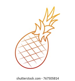 pineapple fruit delicious vitamins nutrition food