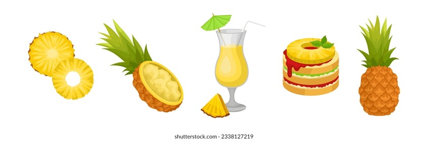 Pineapple Fruit Dessert with Sweet Taste Vector Set