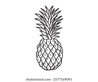 Pineapple fruit doodle hand drawn icon. Outline drawing Pineapple line clipart symbol. Vector illustration
