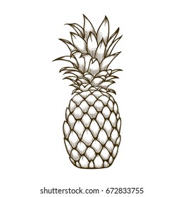 Pineapple fruit doodle hand drawn vector illustration