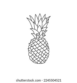 Pineapple fruit doodle illustration in vector. Hand drawn icon of pineapple.