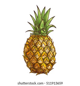 Pineapple Vector File Stock Vector (Royalty Free) 796499017