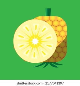 vector de ilustración fresca de frutos de piña