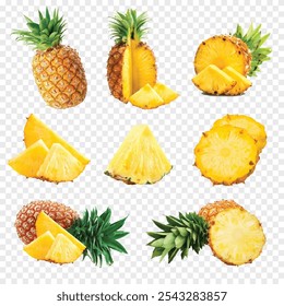 Pineapple fruit, fresh organic pineapple isolated on transparent background vector