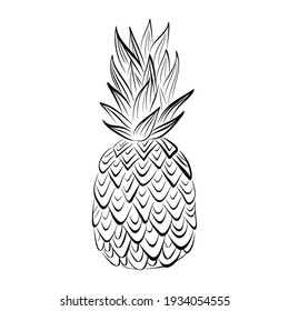 Pineapple fruit. Hand drawn black vector sketch isolated on white background. Line art. 