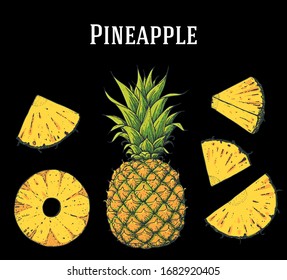 Colección a mano de frutos de piña, elementos gráficos. Ilustración vectorial. Piña para el diseño del menú, ilustración del folleto. Diseño colorido. Ilustración de piña. Puede utilizarse para el embalaje