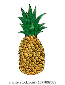 Pineapple Fruit hand drawn engraved sketch drawing vector illustration