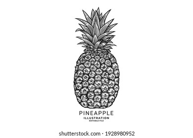 Pineapple Fruit Hand Drawn Illustration