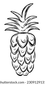 Pineapple fruit in hand drawn outline style