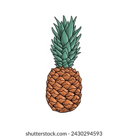 Ananasfrucht handgezeichnete Retro-Illustration. Gravierte einfache Stil Vektor. Isoliert auf weißem Hintergrund.