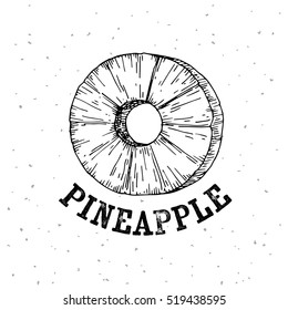 pineapple fruit, Hand drawn sketch style, Exotic tropical fruit vector drawings