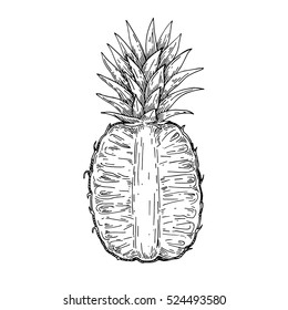 pineapple fruit, Hand drawn sketch style, Exotic tropical fruit vector drawings