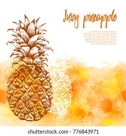 Pineapple fruit. Hand drawn vector sketch. Watercolor background, wallpaper, backdrop, pattern. Template for printing, postcards, web design, advertising, packaging