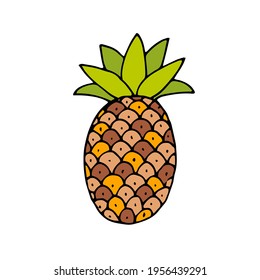 A pineapple. The fruit. Healthy vegetarian food. Vector. Doodle. Hand-drawn illustration.