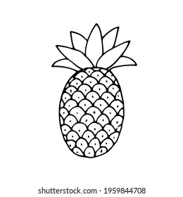A pineapple. The fruit. Healthy vegetarian food. Vector. Doodle. Hand-drawn illustration. Silhouette. Black and white outline. Coloring.
