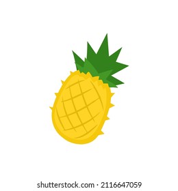 pineapple fruit illustration for graphic template