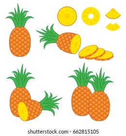Pineapple Fruit Illustration Vector Stock Image. Pineapple Slice Vector Set