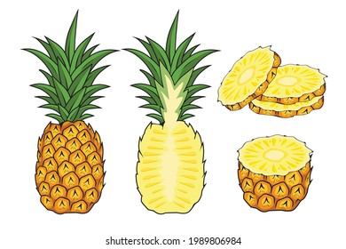 Pineapple Fruit Illustrations Cartoon Set Collections