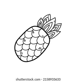 Pineapple fruit isolated on white background 

