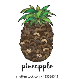Pineapple fruit isolated on white. Vector Illustration