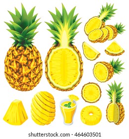 Pineapple Fruit Isolated Vector