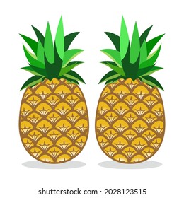 pineapple fruit with leaves, illustration design